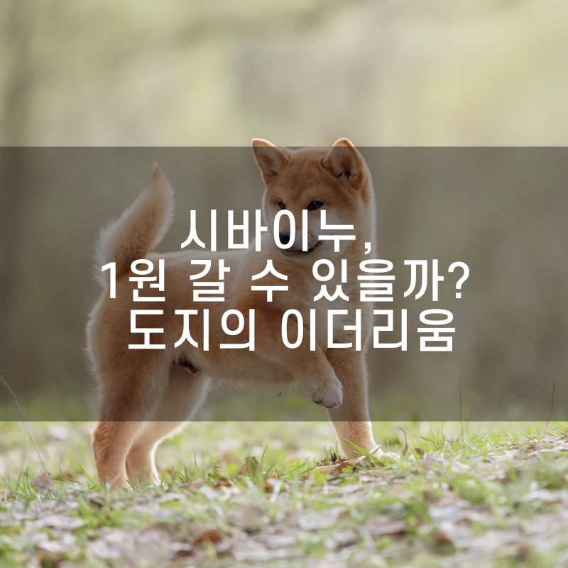 시바이누, 1원 갈 수 있을까 도지의 이더리움으로 떠오르는 SHIB의 미래