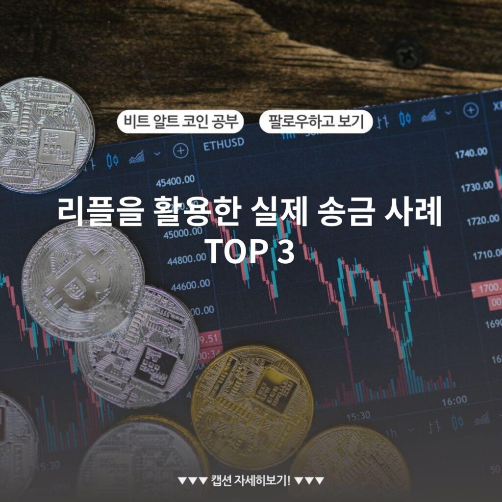 리플을 활용한 실제 송금 사례 TOP 3