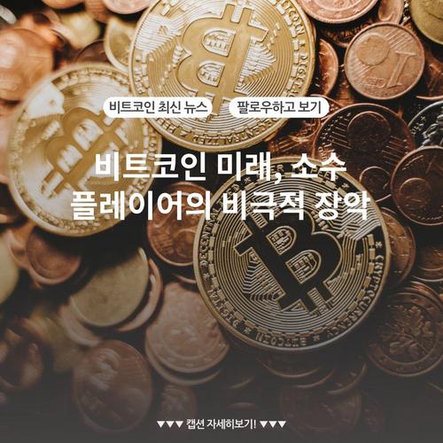 비트코인 미래, 소수 플레이어의 비극적 장악