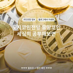 도지코인전망 유망코인 세심히 공부해보면