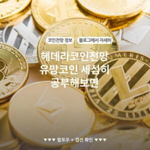 헤데라코인전망 유망코인 세심히 공부해보면