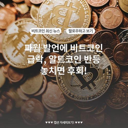 파월 발언에 비트코인 급락, 알트코인 반등 놓치면 후회!