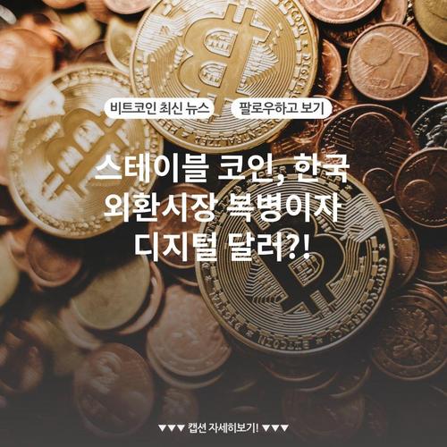 스테이블 코인, 한국 외환시장 복병이자 디지털 달러?!