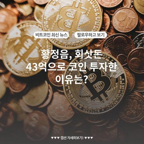 황정음, 회삿돈 43억으로 코인 투자한 이유는?