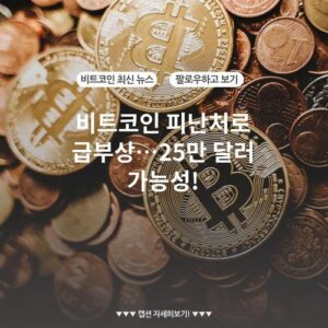 비트코인 피난처로 급부상…25만 달러 가능성!