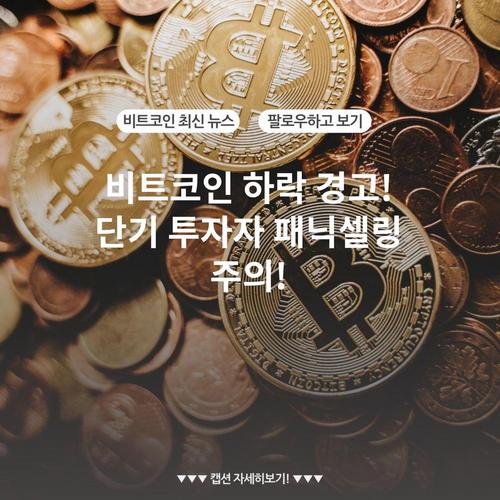 비트코인 하락 경고! 단기 투자자 패닉셀링 주의!